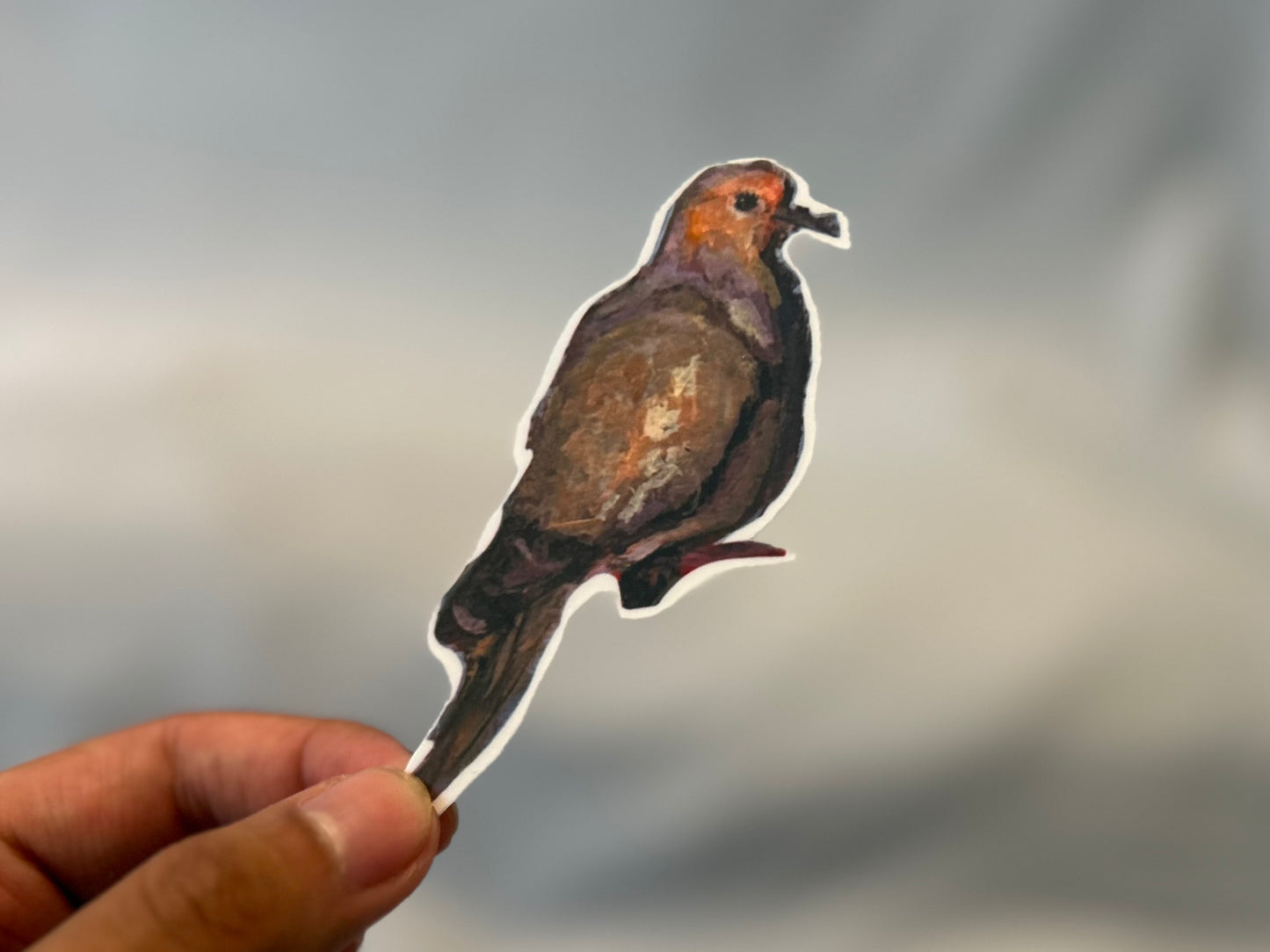Morning Dove Sticker