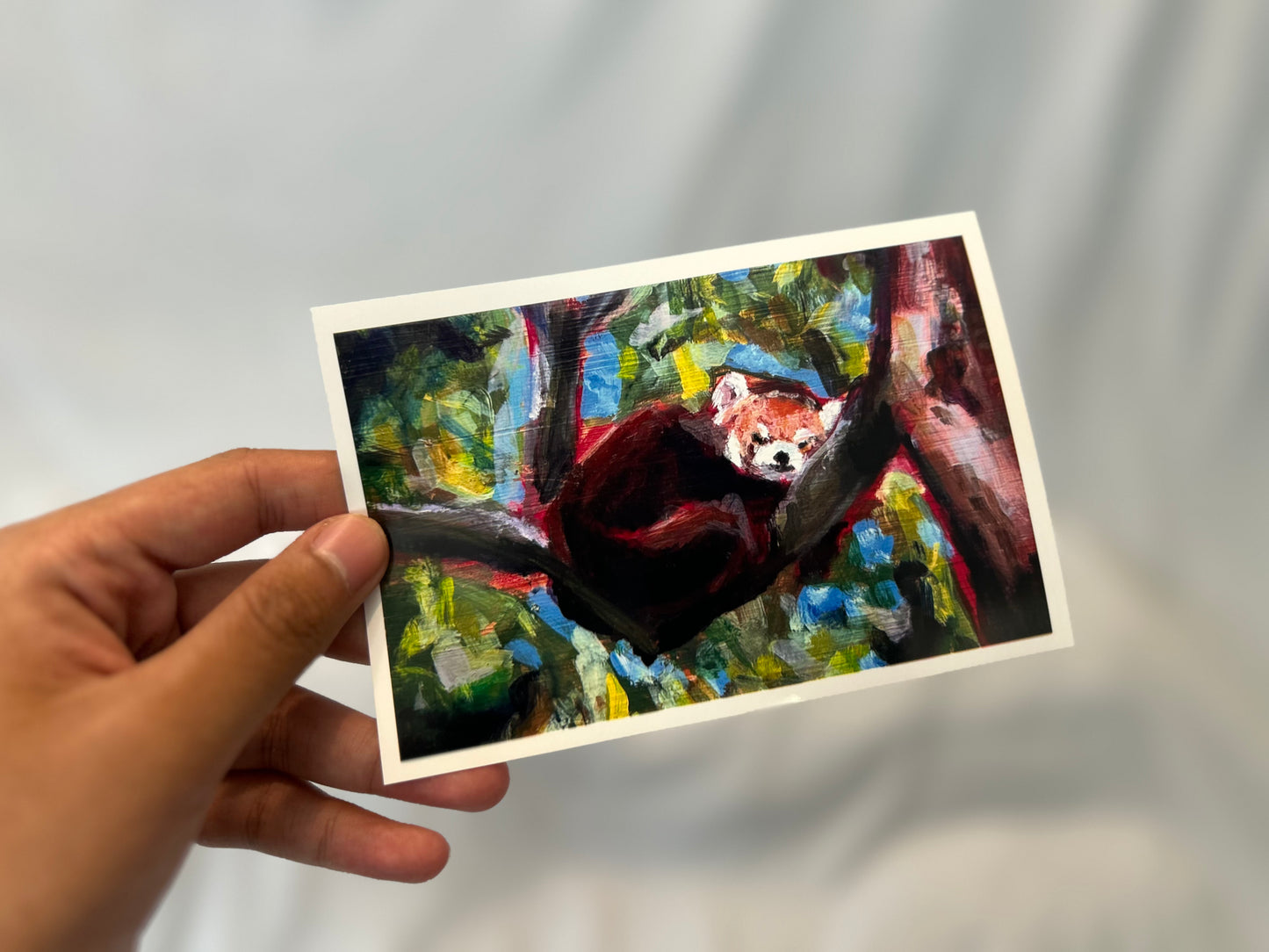 Red Panda - Small Print