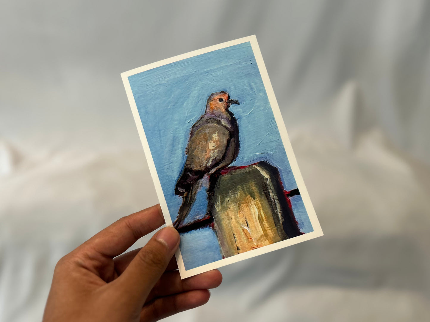 Morning Dove - Small Print