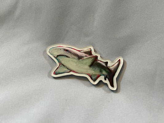 Shark Magnet