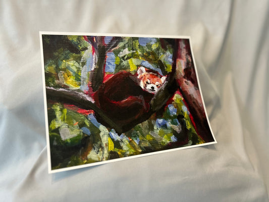 Red Panda - Large Print