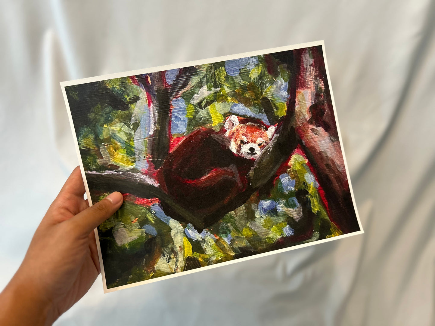 Red Panda - Large Print