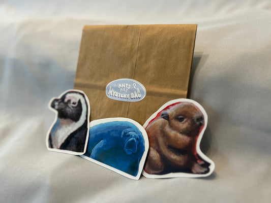 Sticker Mystery Bag!