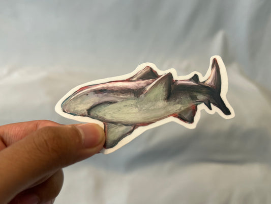 Shark Sticker