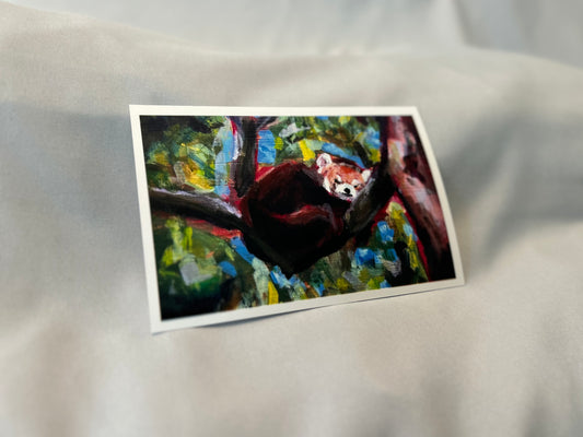 Red Panda - Small Print
